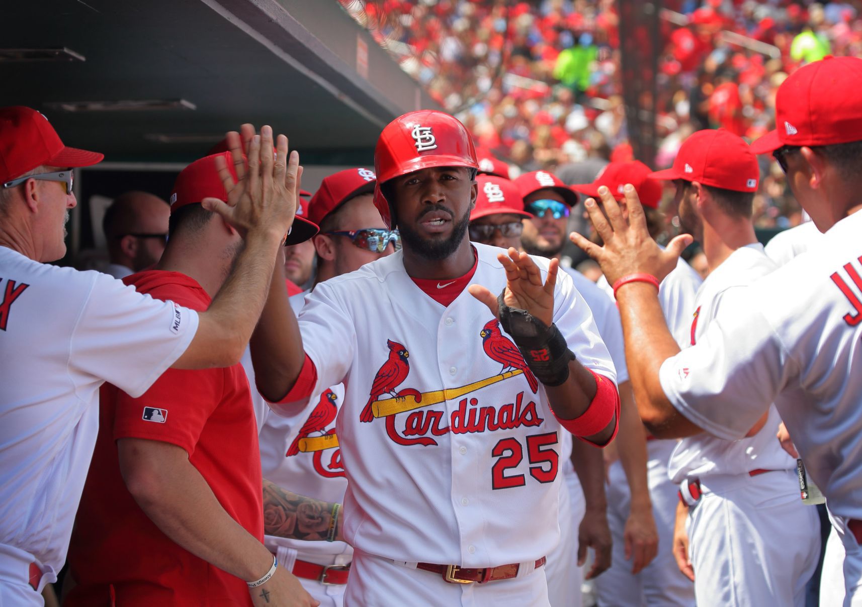San Francisco Giants vs St. Louis Cardinals